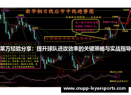 莱万经验分享:提升球队进攻效率的关键策略与实战指导 莱万经验分享:提升球队进攻效率的关键策略与实战指导