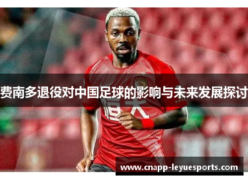 费南多退役对中国足球的影响与未来发展探讨