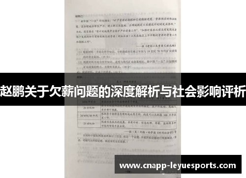 赵鹏关于欠薪问题的深度解析与社会影响评析 赵鹏关于欠薪问题的深度解析与社会影响评析