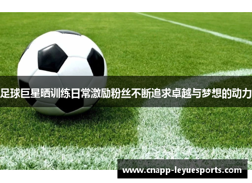 足球巨星晒训练日常激励粉丝不断追求卓越与梦想的动力 足球巨星晒训练日常激励粉丝不断追求卓越与梦想的动力