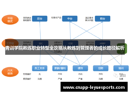 青训学院教练职业转型全攻略从教练到管理者的成长路径解析