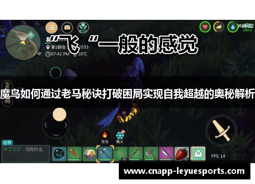 魔鸟如何通过老马秘诀打破困局实现自我超越的奥秘解析 魔鸟如何通过老马秘诀打破困局实现自我超越的奥秘解析