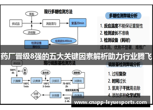 药厂晋级8强的五大关键因素解析助力行业腾飞