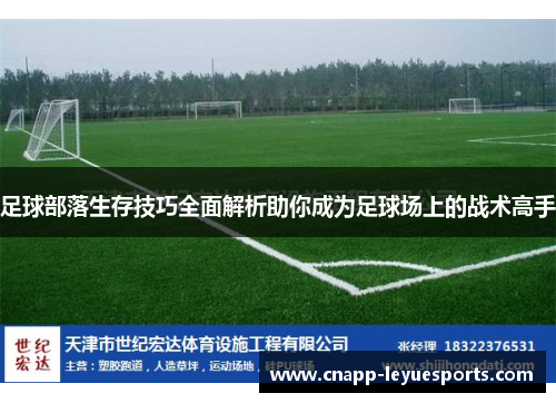 足球部落生存技巧全面解析助你成为足球场上的战术高手