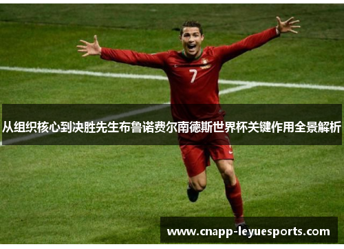 从组织核心到决胜先生布鲁诺费尔南德斯世界杯关键作用全景解析 从组织核心到决胜先生布鲁诺费尔南德斯世界杯关键作用全景解析