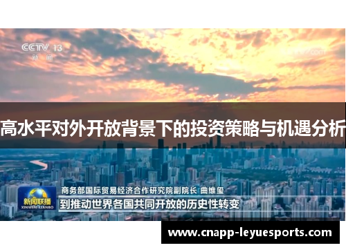 高水平对外开放背景下的投资策略与机遇分析