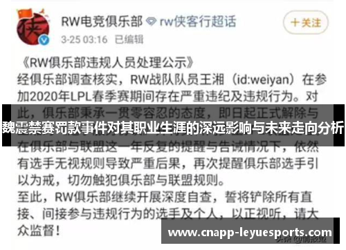 魏震禁赛罚款事件对其职业生涯的深远影响与未来走向分析